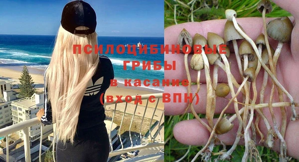 mdma Осинники