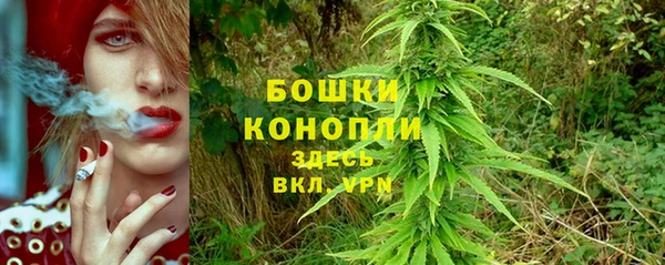 герыч Пересвет