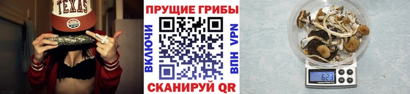 как найти наркотики  Тулун  Псилоцибиновые грибы Magic Shrooms 