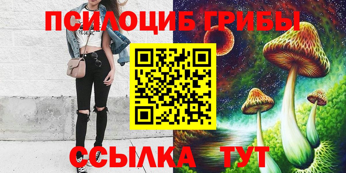 Тулун  Галлюциногенные грибы мицелий  купить   Вход с VPN 
