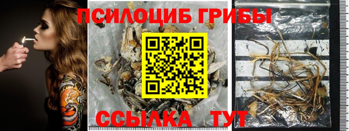 Псилоцибиновые грибы прущие грибы Тулун