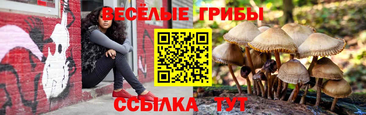 Галлюциногенные грибы ЛСД Тулун